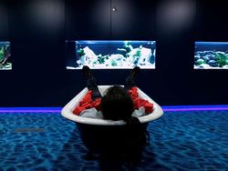 Penampakan Kantor Google Terkeren di Dunia