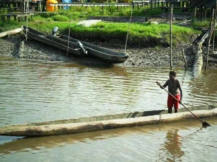 Suku Asmat