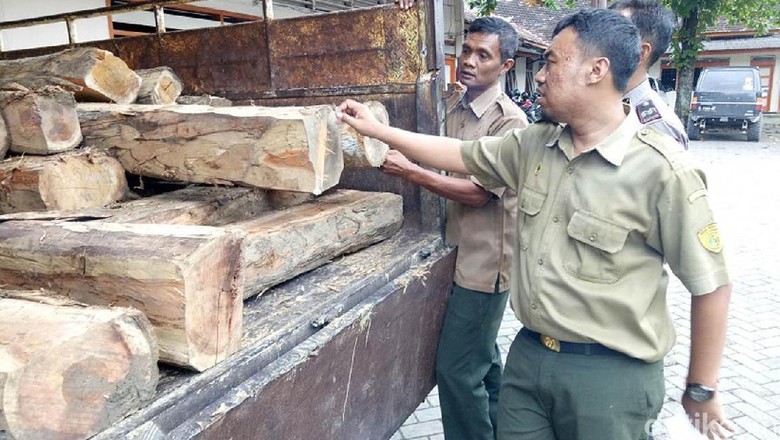 Puluhan Kayu Jati Diduga Hasil Curian Diamankan di Grobogan Puluhan Kayu Jati Diduga Hasil Curian Diamankan di Grobogan