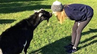 Meski dikenal sebagai anak konglomerat, ia juga tak segan mengumbar tingkah lucu di Instagram. (Instagram/@amandahearst).