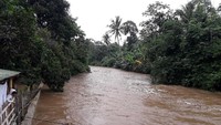 Hujan deras yang berlangsung sejak kemarin hingga saat ini di wilayah hulu Sungai Ciliwung di daerah Bogor telah menyebabkan debit Sungai Ciliwung meningkat.  (Foto: Triono Wahyu Sudibyo/detikcom)