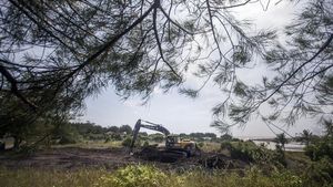 Mengintip Progres Bandara New Yogyakarta