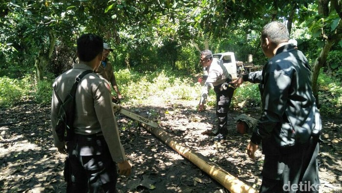 Dua Tukang Serkel Tak Terlibat Pembalakan Liar Akhirnya Dipulangkan