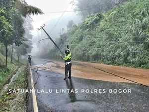 Petugas Bersihkan Material Longsor yang Tutup Jalur Puncak