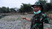 Hal tersebut terpantau, Senin (5/2/2018) saat Dansektor VI Kol Inf Yudi Zanibar menyusuri aliran Sungai Citarum yang berada di Desa/Kecamatan Bojongsoang sampai Desa Citeureup, Kecamatan Dayeuhkolot.