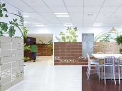 Kantor Keren Google di Tokyo yang Jepang Banget