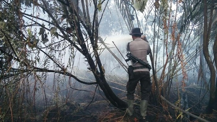 Buka Lahan Cabai dengan Cara Dibakar, Petani di Riau Ditangkap