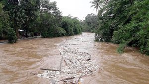 Foto: Derasnya Arus Sungai Ciliwung di Depok, Warga Diimbau Waspada