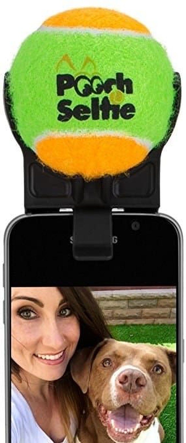 Anda yang punya anjing peliharaan akan berterima kasih dengan produk inovatif seharga Rp 161 ribuan ini. Pooch Selfie sengaja dihadirkan agar Anda bisa selfie dengan anjing lebih mudah. Diharapkan anjing akan melihat bola tenis di bagian atas sehingga ia menengok ke kamera. Foto: Amazon