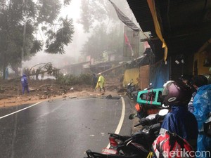 Menteri Siti: Banyak Lahan Hijau di Puncak Terokupasi Penduduk