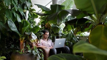 Ruang meeting terdiri dari beragam tema, seperti hutan ini. Ada 100 tanaman di sini. Foto: Google