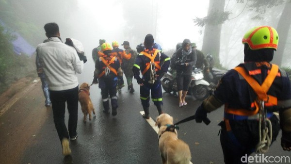 Foto: Anjing Pelacak Dikerahkan Polisi Cari Korban Longsor di Puncak