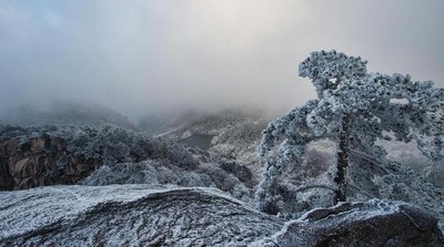 Foto: Penampakan Hutan Es di China