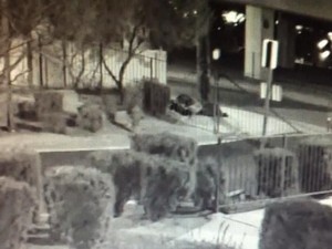 2 Gelandangan di Las Vegas Tewas Ditembak Pria Misterius