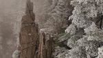 Foto: Penampakan Hutan Es di China