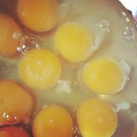 Ini 11 Fakta Tentang Telur yang Mungkin Belum Kamu Tahu!