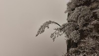 Gunung Huangsan ditunjuk sebagai salah satu Warisan Dunia UNESCO pada tahun 1990. Juga kawasan ini termasuk World Geopark yang menawarkan pemandangan alam cantik dan menakjubkan dari ketinggian. (Dave Stamboulis/CNN Travel)
