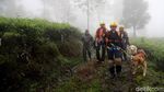 Alfa dan Delta Bantu Pencarian Korban Longsor Puncak