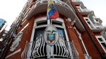 Foto: Kucing Julian Assange Ngintip dari Kedubes Ekuador di London