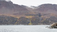 Disko merupakan pulau terbesar kedua di Greenland dan masuk dalam daftar 100 pulau terbesar di dunia. Luasnya 8.578 km persegi (Thinkstock)