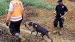 Proses Pencarian Korban Longsor di Cijeruk