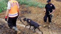 Petugas juga mengerahkan anjing pelacak.