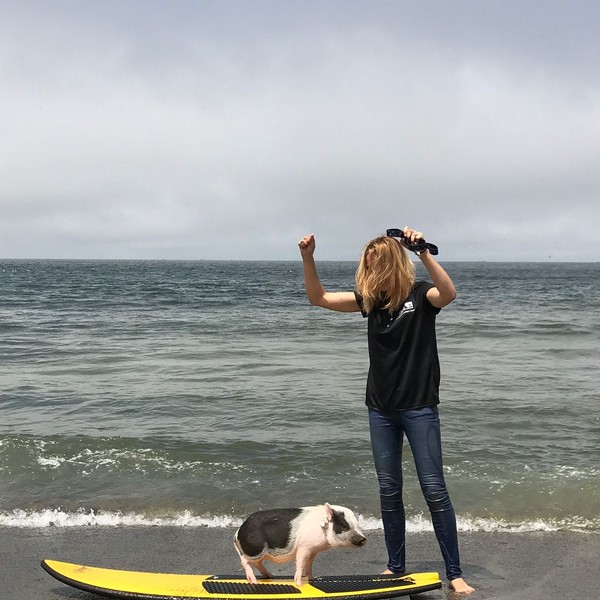 Pickles dan Maddie bisa menghabiskan waktu seharian di pantai. Maddie mengajari babi imut ini main surfing sampai dia bisa. (Instagram/@livingwithpickles) Pickles dan Maddie bisa menghabiskan waktu seharian di pantai. Maddie mengajari babi imut ini main surfing sampai dia bisa. (Instagram/@livingwithpickles)