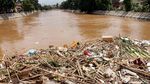 Beginilah Proses Pengangkutan Sampah di Kali Ciliwung