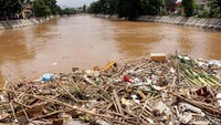 Beginilah tumpukan sampah yang sudah memenuhi kali ciliwung sejak kemarin hingga pagi hari tadi dan kini materialnya sudah semakin berkurang jumlahnya. 