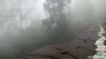 Foto: Begini Suasana Objek Wisata di Puncak Pasca Longsor