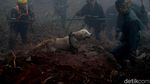 Alfa dan Delta Bantu Pencarian Korban Longsor Puncak