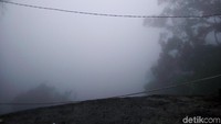 Cuaca buruk di Puncak. Mestinya bisa terlihat perkebunan teh di sini. Namun apa daya kabut terlalu tebal (Haris/detikTravel)