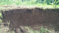 Tetapi (lubang yang ada) tidak membahayakan masyarakat karena jauh dari pemukiman. Kalau biasanya lubang yang muncul akan menutup dengan sendirinya, kata dia. 