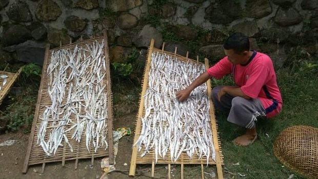 Produksi Ikan Asin di Cirebon