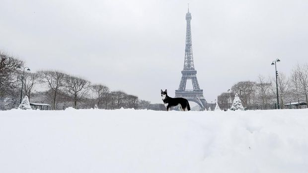 Menara Eiffel juga diselimuti salju.
