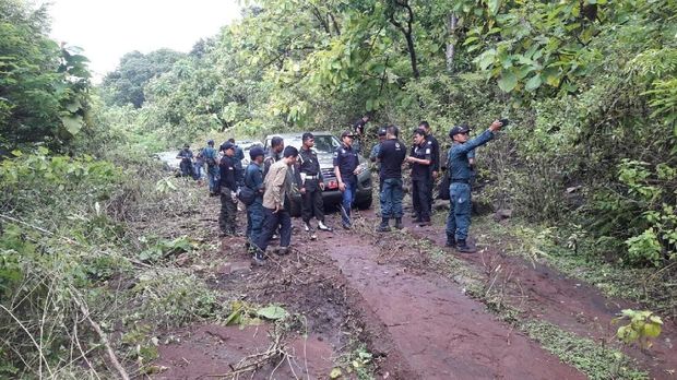 Ilegal Logging, Pelaku Bikin Jalan 4 Km di Pedalaman Hutan Sulsel