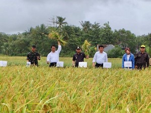 Genjot Investasi, Mentan Pangkas Aturan di Sektor Pertanian