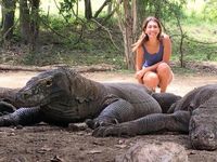 Media Australia: Pulau Komodo Adalah Jurassic Park yang Nyata