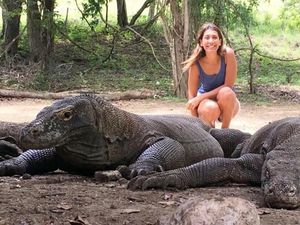 KLHK Pastikan Tidak Ada Privatisasi di Taman Nasional Komodo