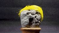 Batu berbentuk Donald Trump (@Great Big Story/Youtube) foto3