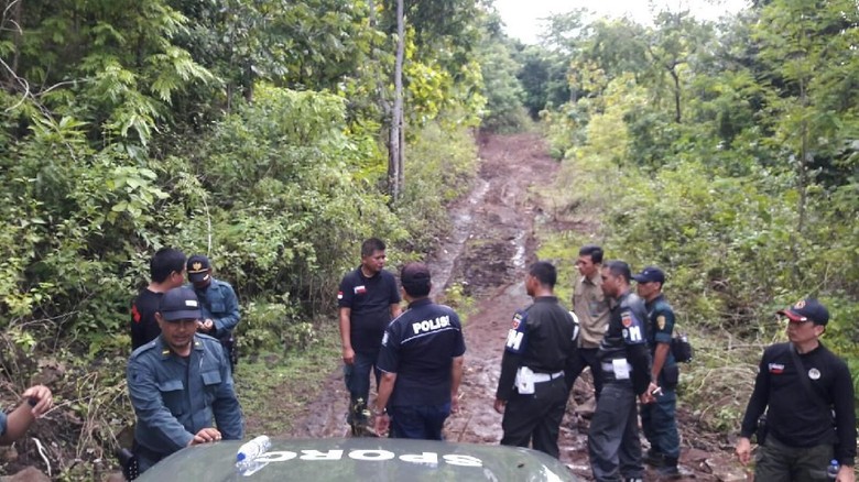 Illegal Logging, Pelaku Bikin Jalan 4 Km di Pedalaman Hutan Sulsel Illegal Logging, Pelaku Bikin Jalan 4 Km di Pedalaman Hutan Sulsel