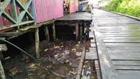 Rumah juga dibangun di atas rawa. Rumah panggung ditemui di seluruh Asmat.