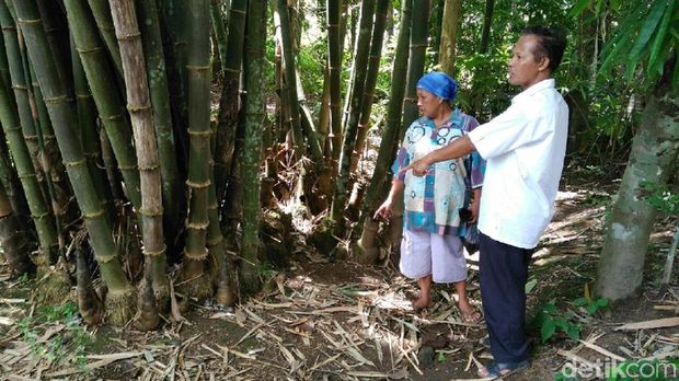 Lokasi makam tidak terawat dan tertutup rumpun bambu