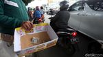 Pengungsi Banjir Keluhkan Tidak Ada Tim Medis dan Toilet Umum