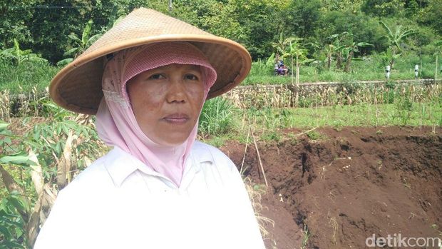 Melihat Lebih Dekat Lubang Misterius yang Muncul di Gunungkidul