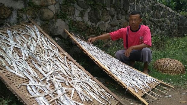 Produksi Ikan Asin di Cirebon