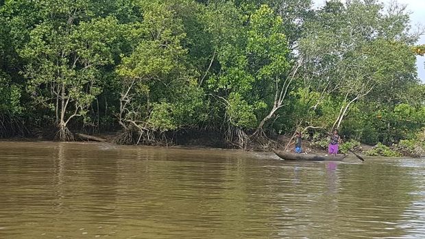 Jokowi, Asmat, dan Kearifan Sukunya yang Mendunia