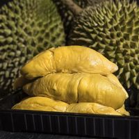 Tingginya Permintaan Durian dari China, Lingkungan Malaysia Terancam Rusak