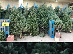 Deretan Foto Keren dari Lokasi Pemotretan Seadanya