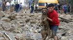 Foto: Saat Anjing-anjing Diselamatkan dari Banjir